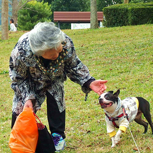 ペット入居可の老人ホーム